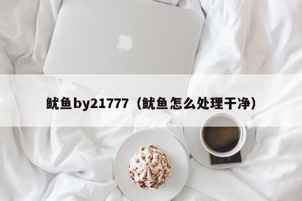 鱿鱼by21777（鱿鱼怎么处理干净）